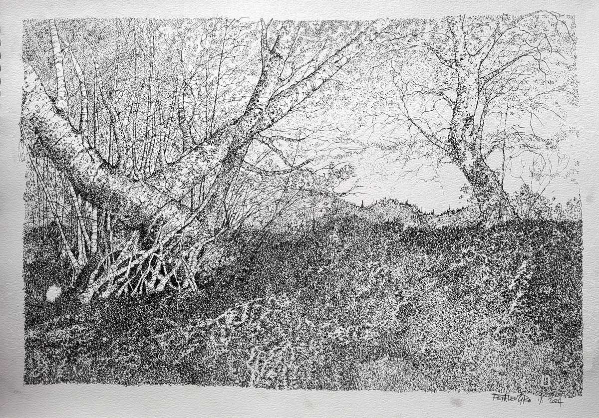 Mike Petalengro tweet media