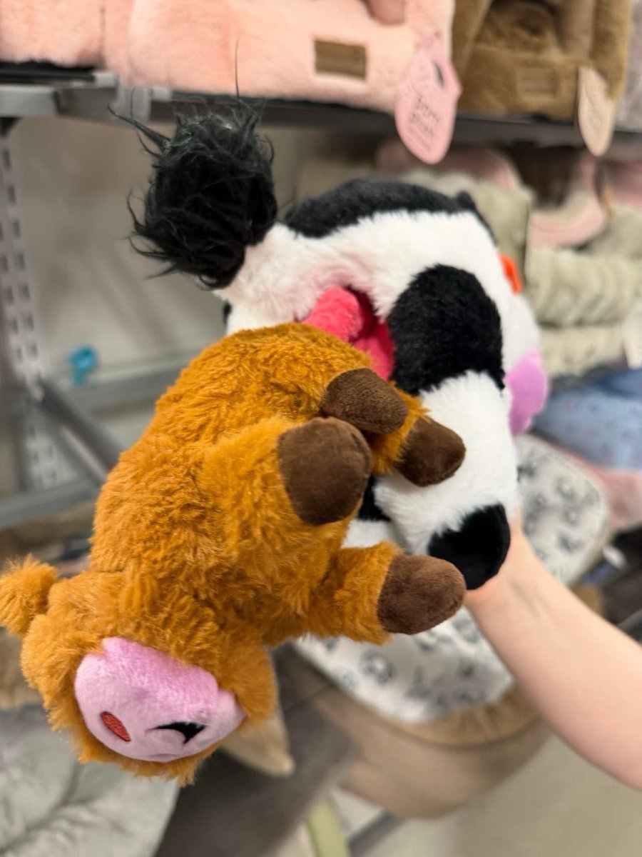 Awful Taste But Great Execution tweet media