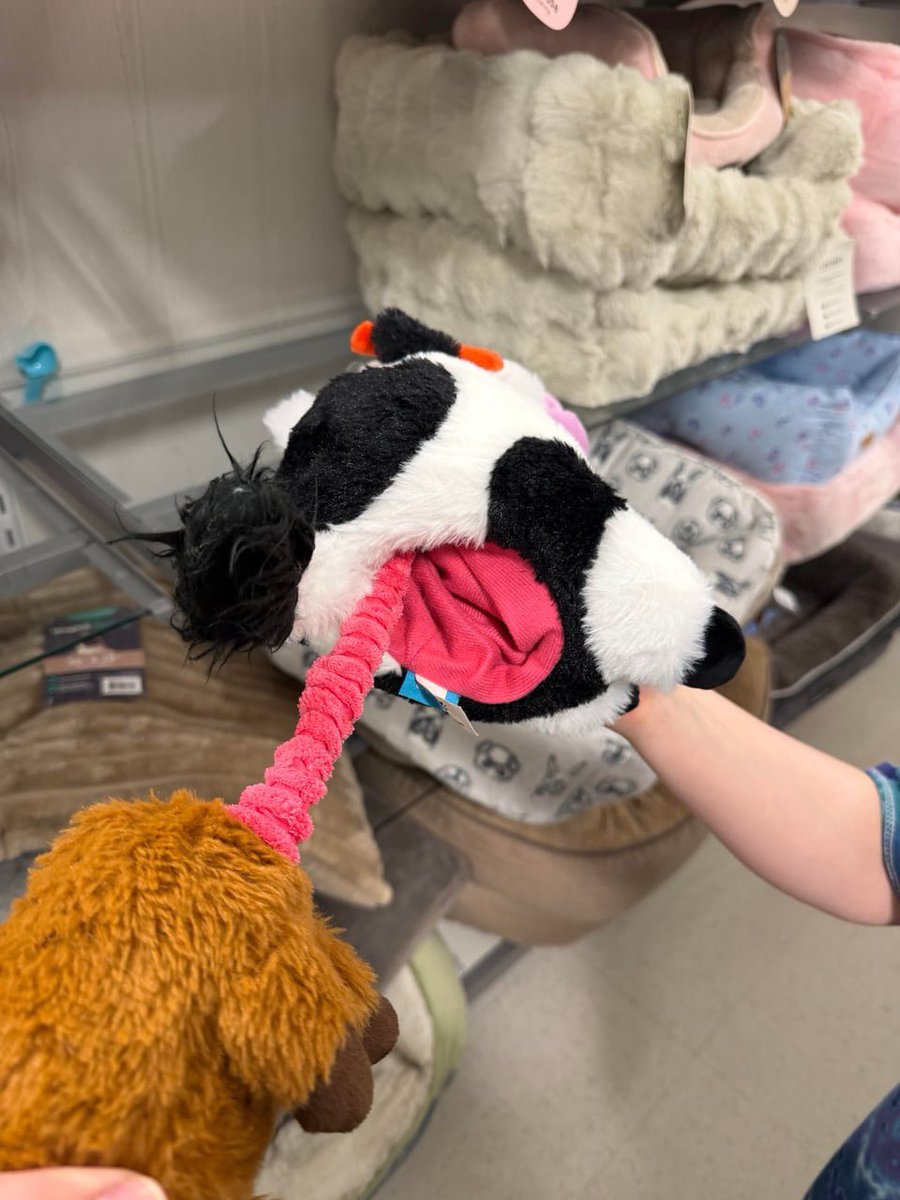 Awful Taste But Great Execution tweet media