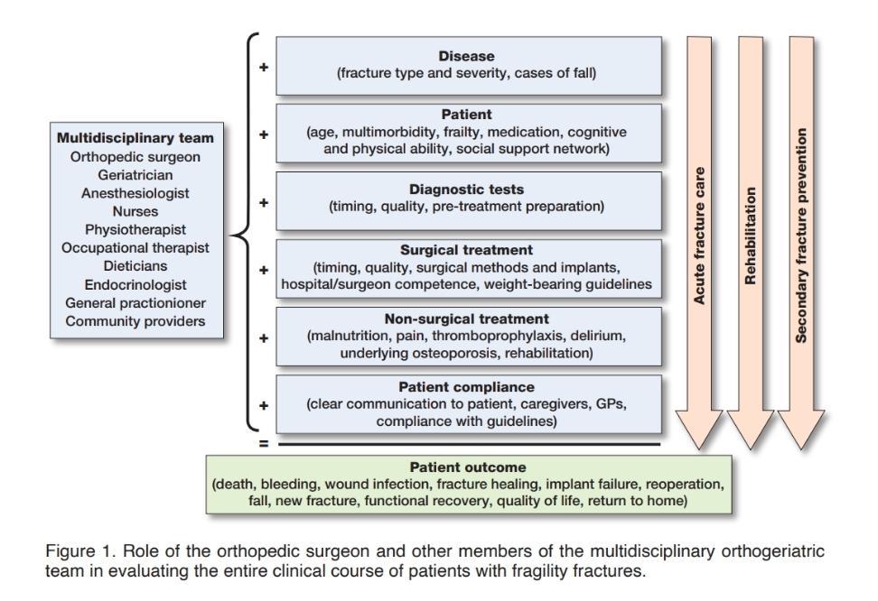 Fragility Fracture Network (FFN) tweet media