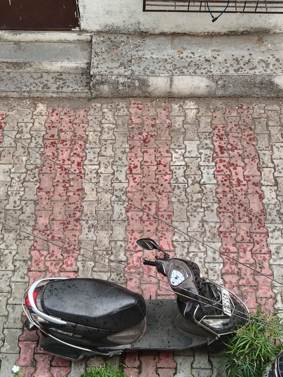 Shraddha Mehta tweet media