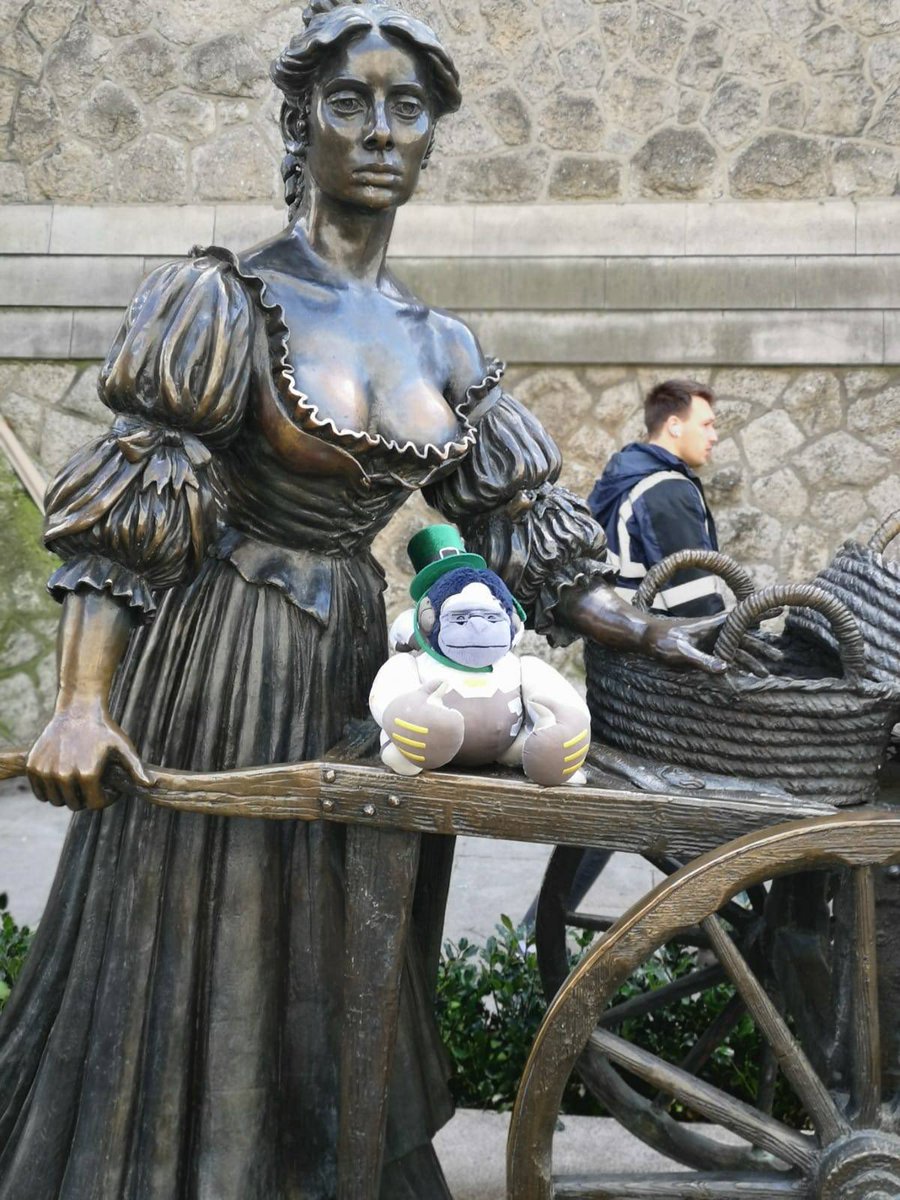 Ireland OWWC 🇮🇪 tweet media