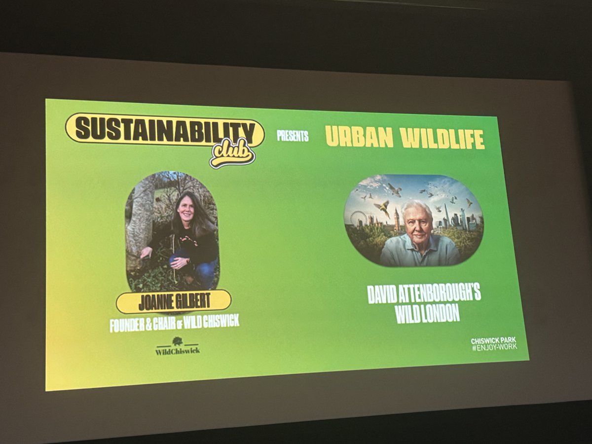 @wildchiswick tweet media