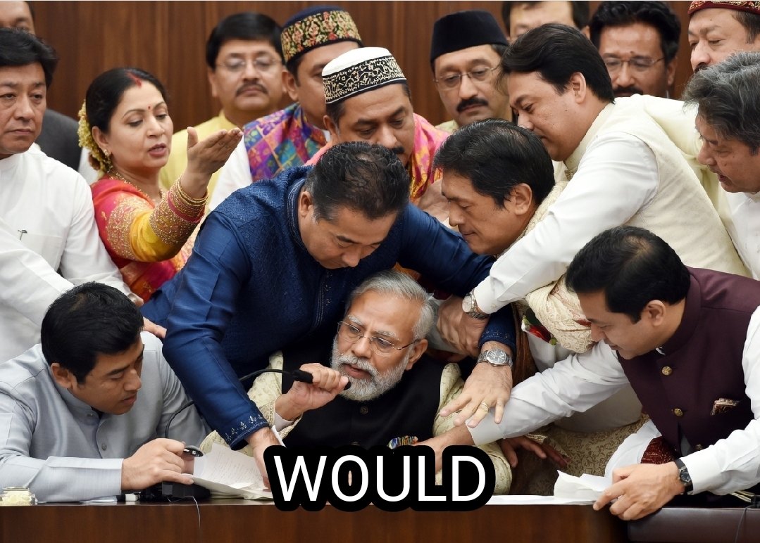 Hodlmonkey tweet media