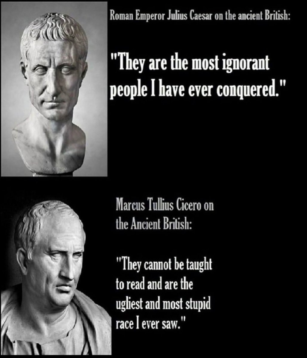 Mister G tweet media