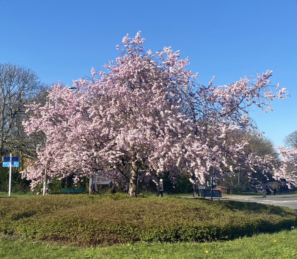 Grendysh tweet media