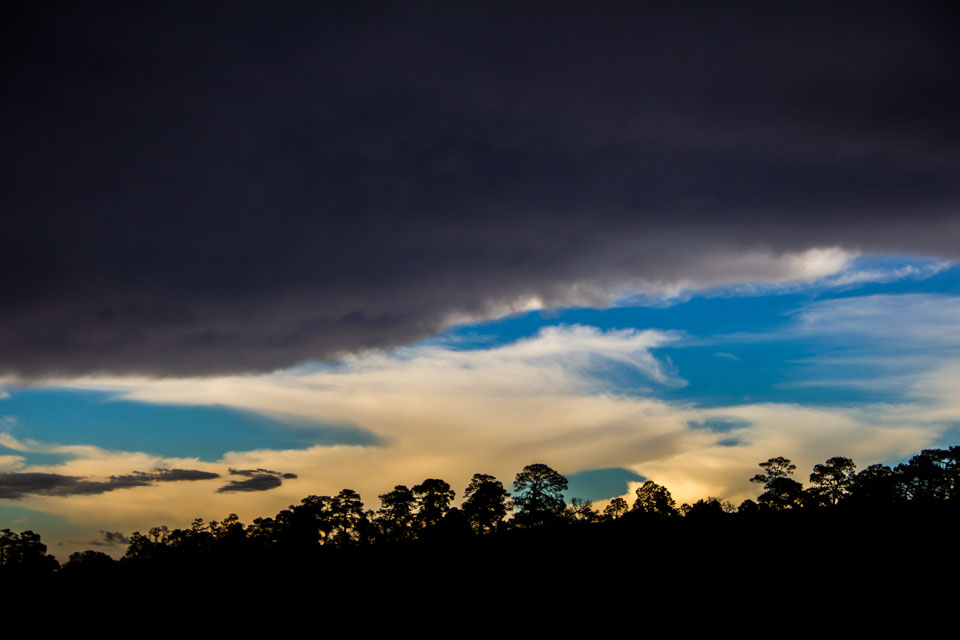 Iram Ortega 👁 tweet media