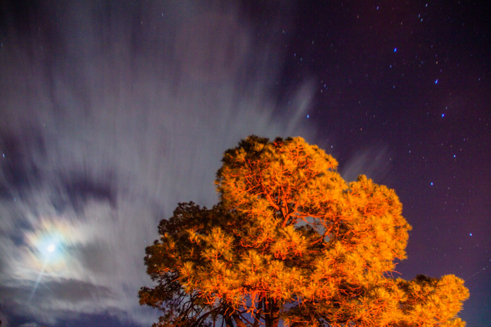 Iram Ortega 👁 tweet media