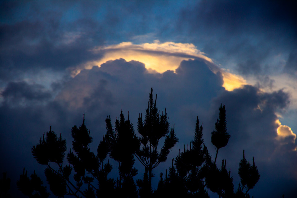 Iram Ortega 👁 tweet media