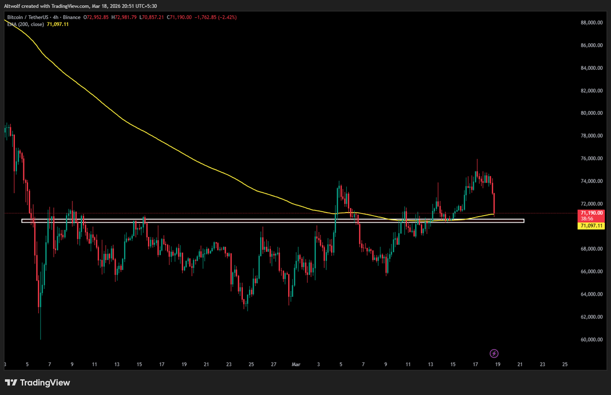 AltWolf🐺 tweet media