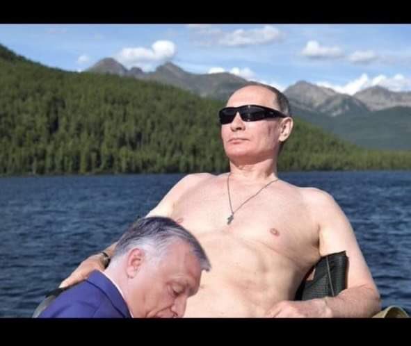 TheDudeFollows tweet media