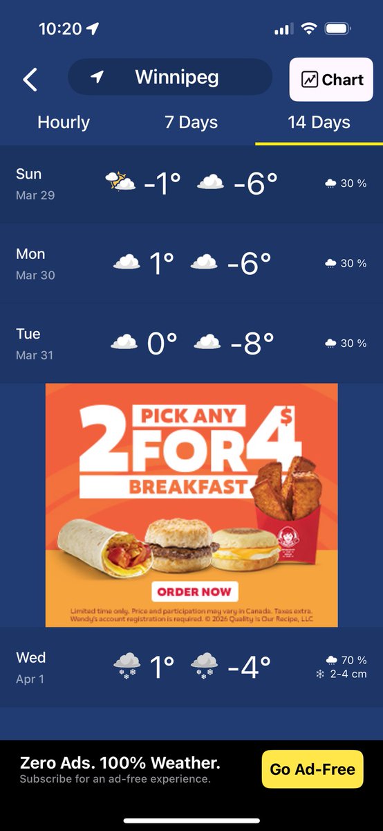 Lori Bird 🇨🇦 tweet media