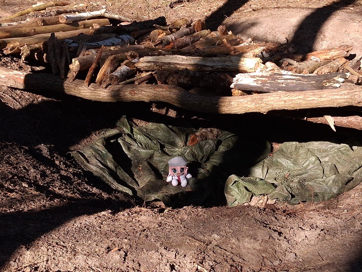 Beachmaster tweet media