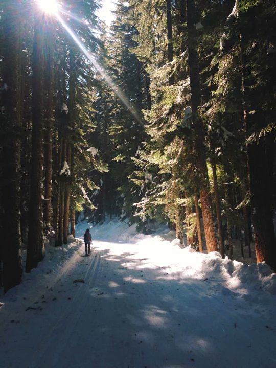 American Conservation Coalition tweet media