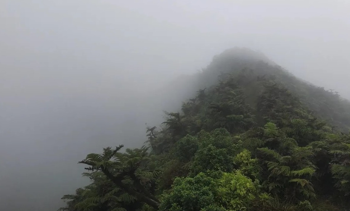 Governor's Office - St Helena, Ascension & Tristan tweet media