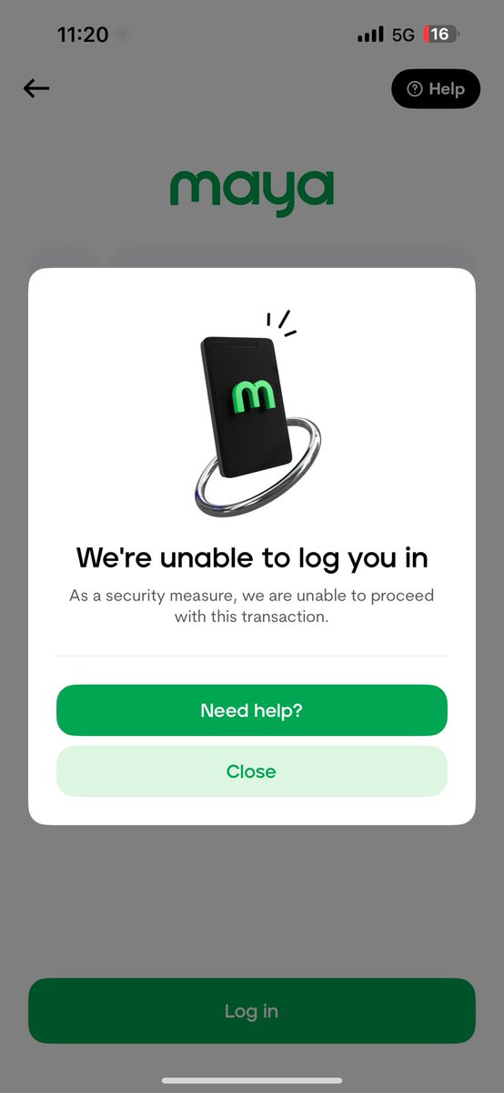 kali ♡ tweet media