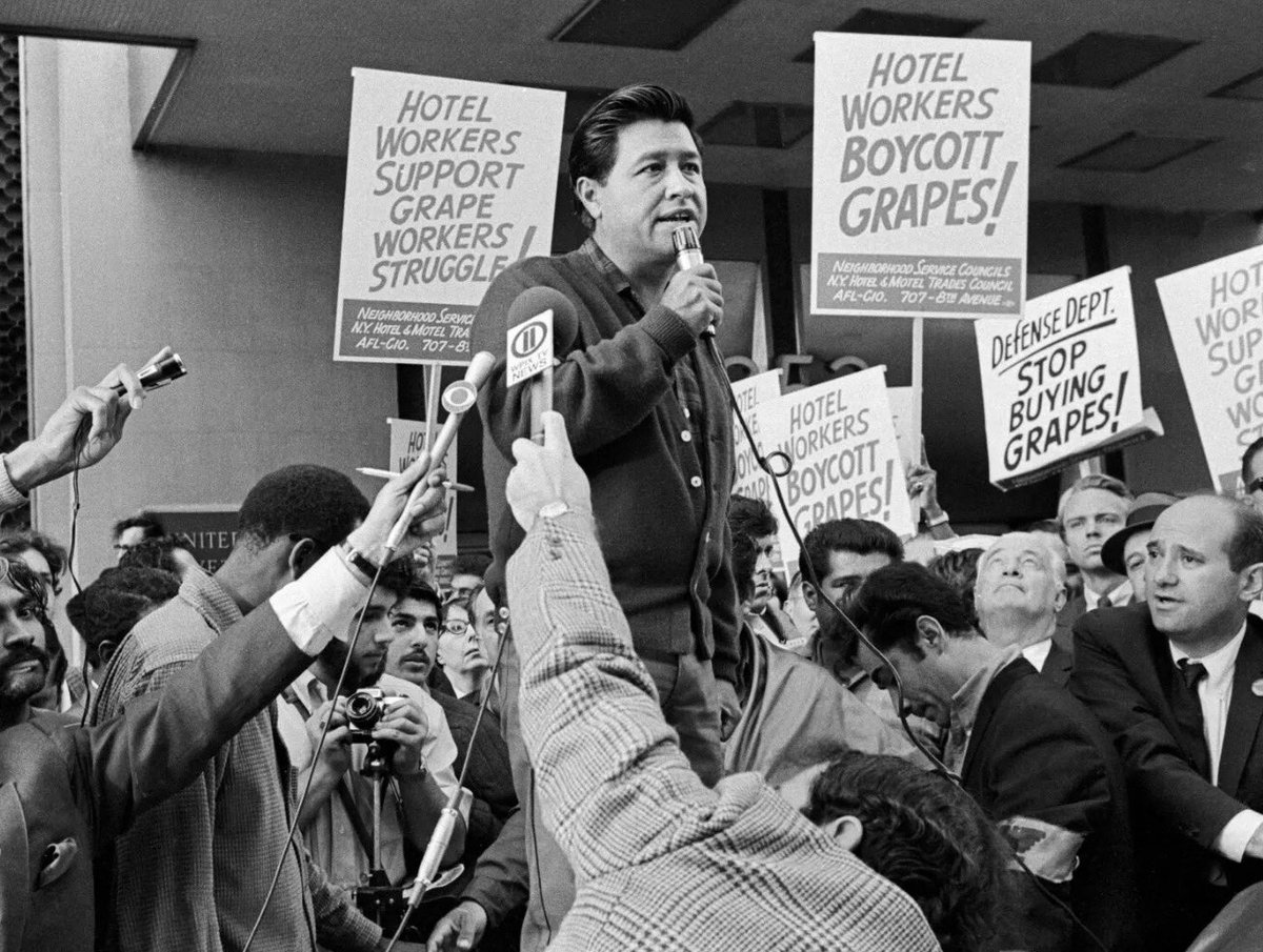 Yashar Ali 🐘 tweet media