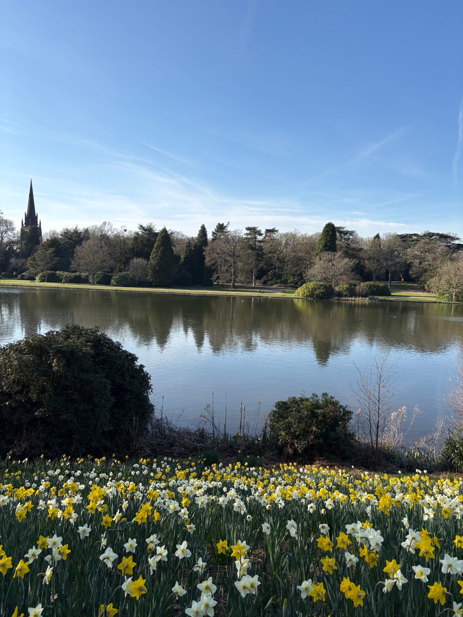 David Coldrick tweet media