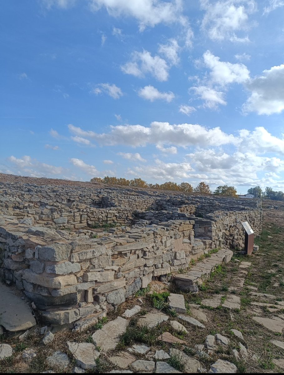 iber.cat tweet media