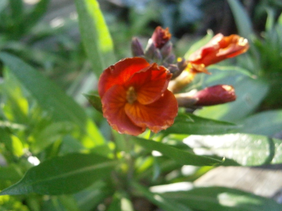 🥷Ninja boy🥷 🍃💚🍃 tweet media