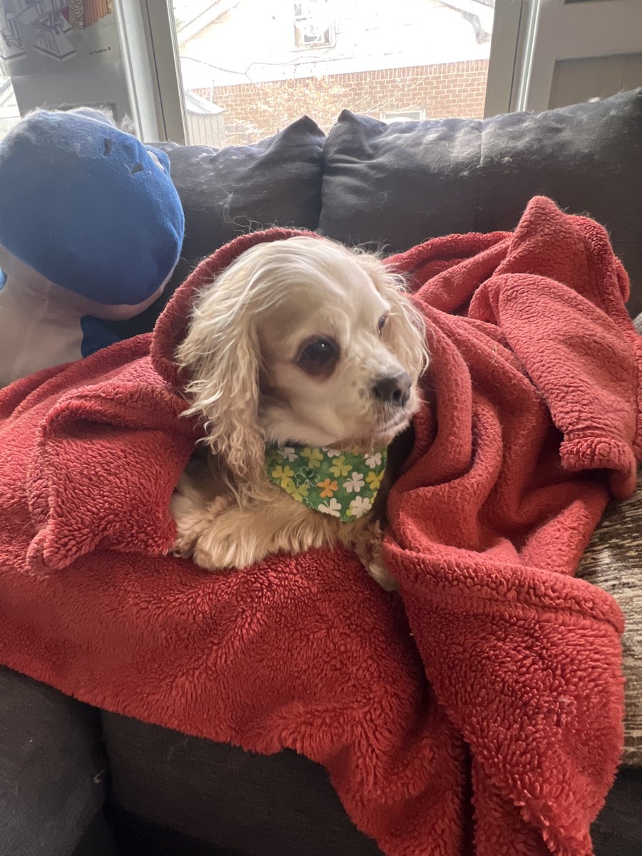 Kyle 'Blessious' Blessing tweet media