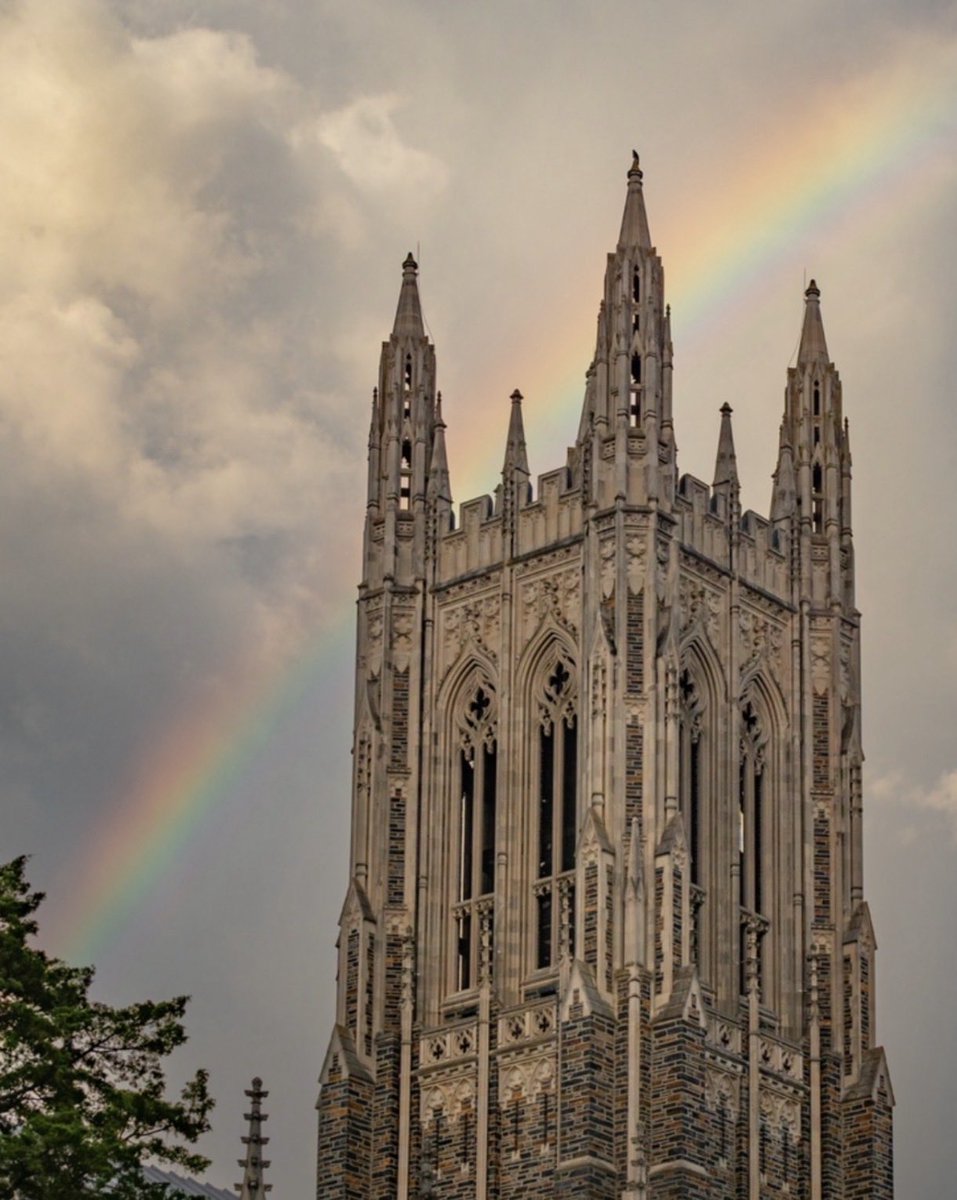 Arcus Advisory tweet media