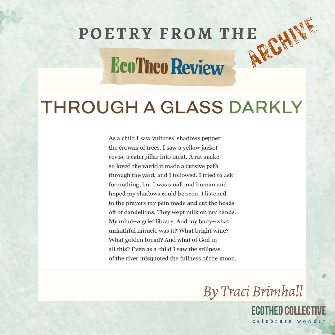 EcoTheo Collective tweet media