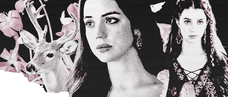 ₊ ⊹ ˢ͟ʷ͟ᵉ͟ᵉ͟ᵗ 𝓐 𝐋𝐂𝐇𝐄𝐌𝐈𝐒𝐓 .ᐟ‍‍‍ tweet media