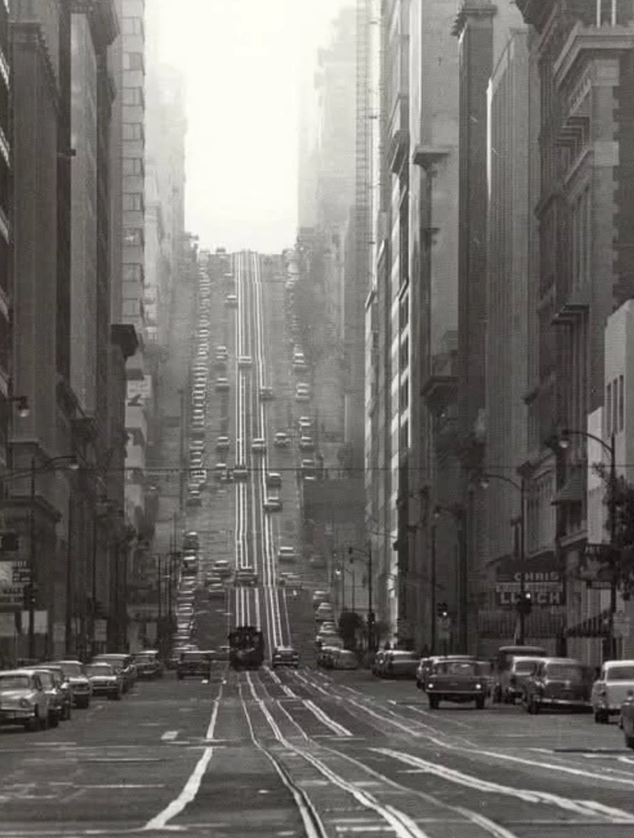 carmeladonnafugata tweet media