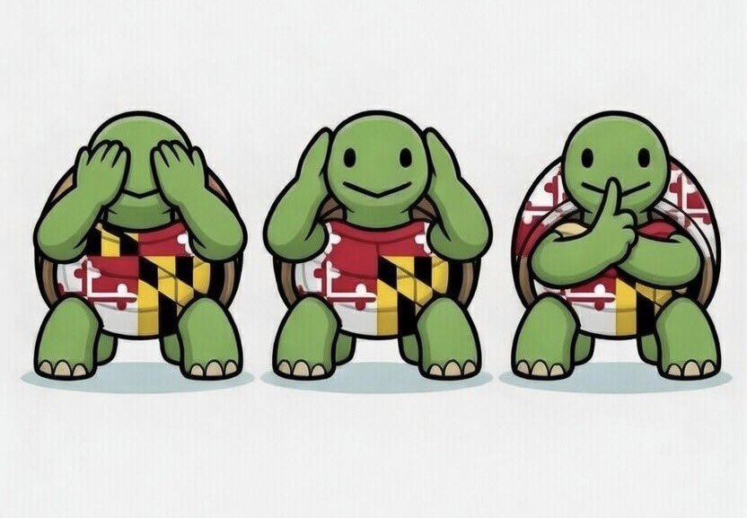 Fran Russo tweet media