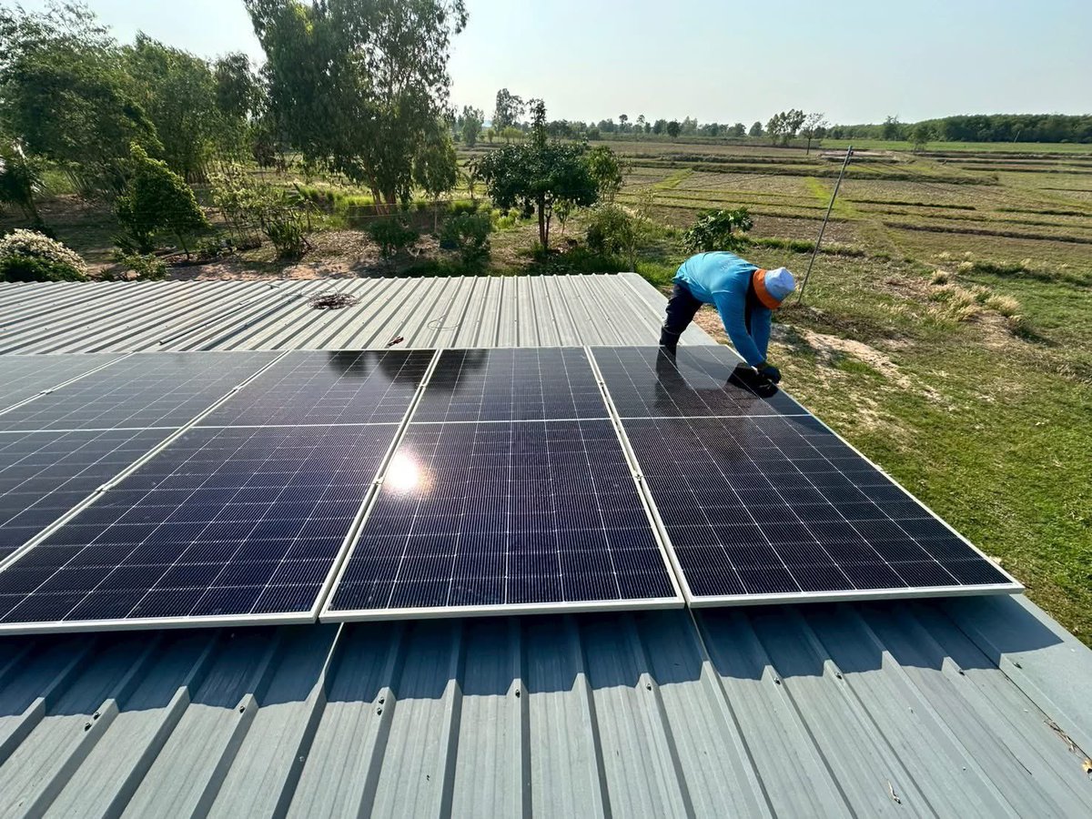 the one tree farm kalasin tweet media