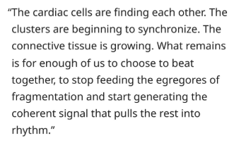 Tom Morgan tweet media