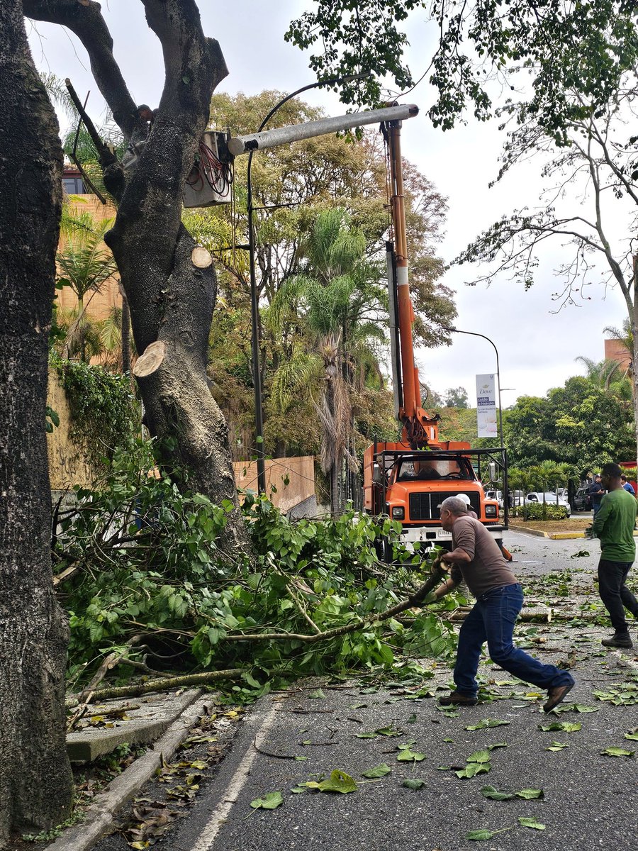 Alcaldía El Hatillo tweet media