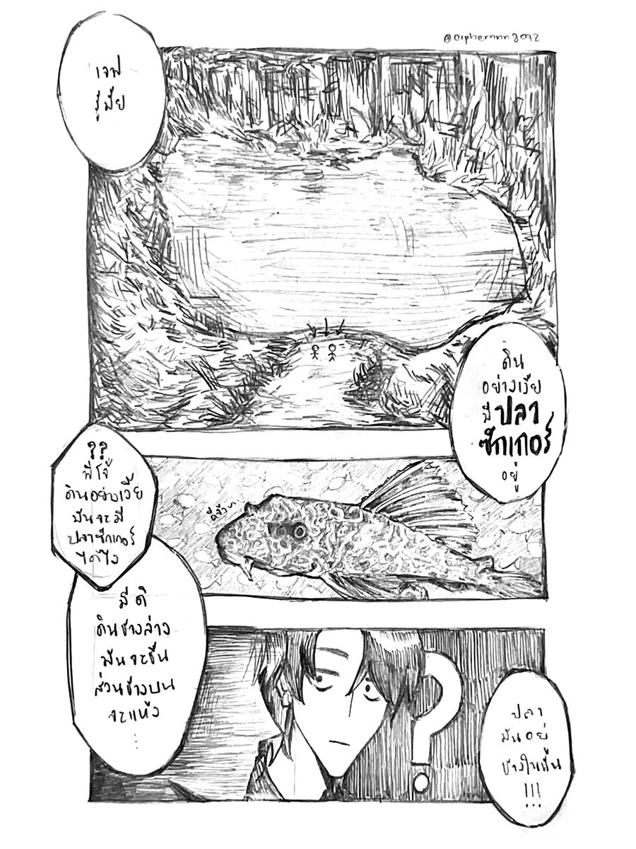 Ciphernnn tweet media