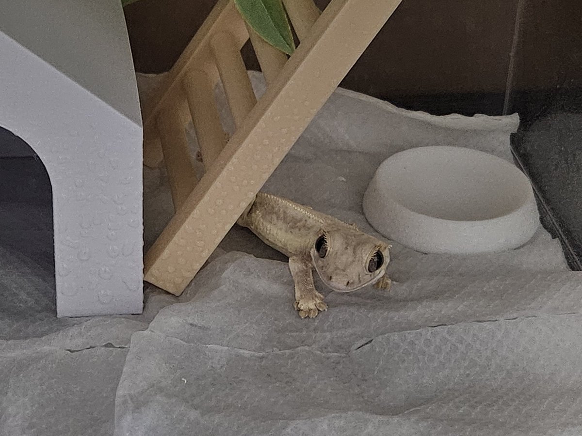 아래싸람 tweet media