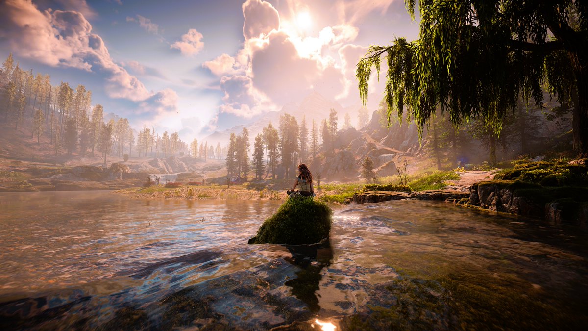 Vin Games 📸 tweet media