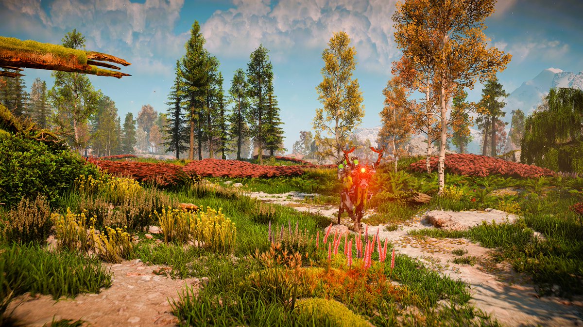 Vin Games 📸 tweet media