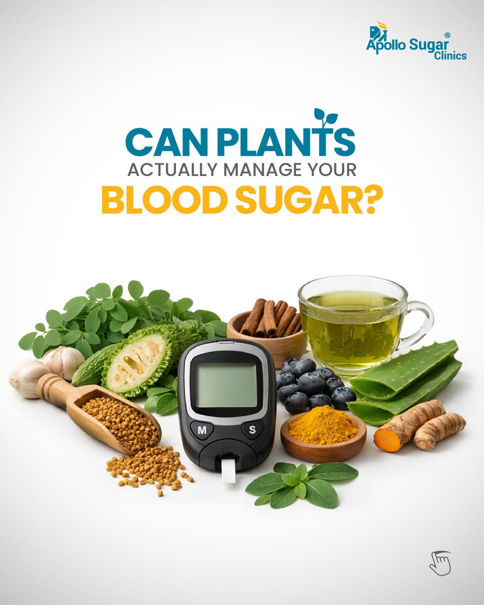 ApolloSugar_Ind's tweet photo. Nature offers powerful ingredients for blood sugar support. Learn what works and what doesn’t.
Consult our specialists before dietary changes.

To book an appointment, call 1800-103-1010. https://t.co/1WLGuFKvOk