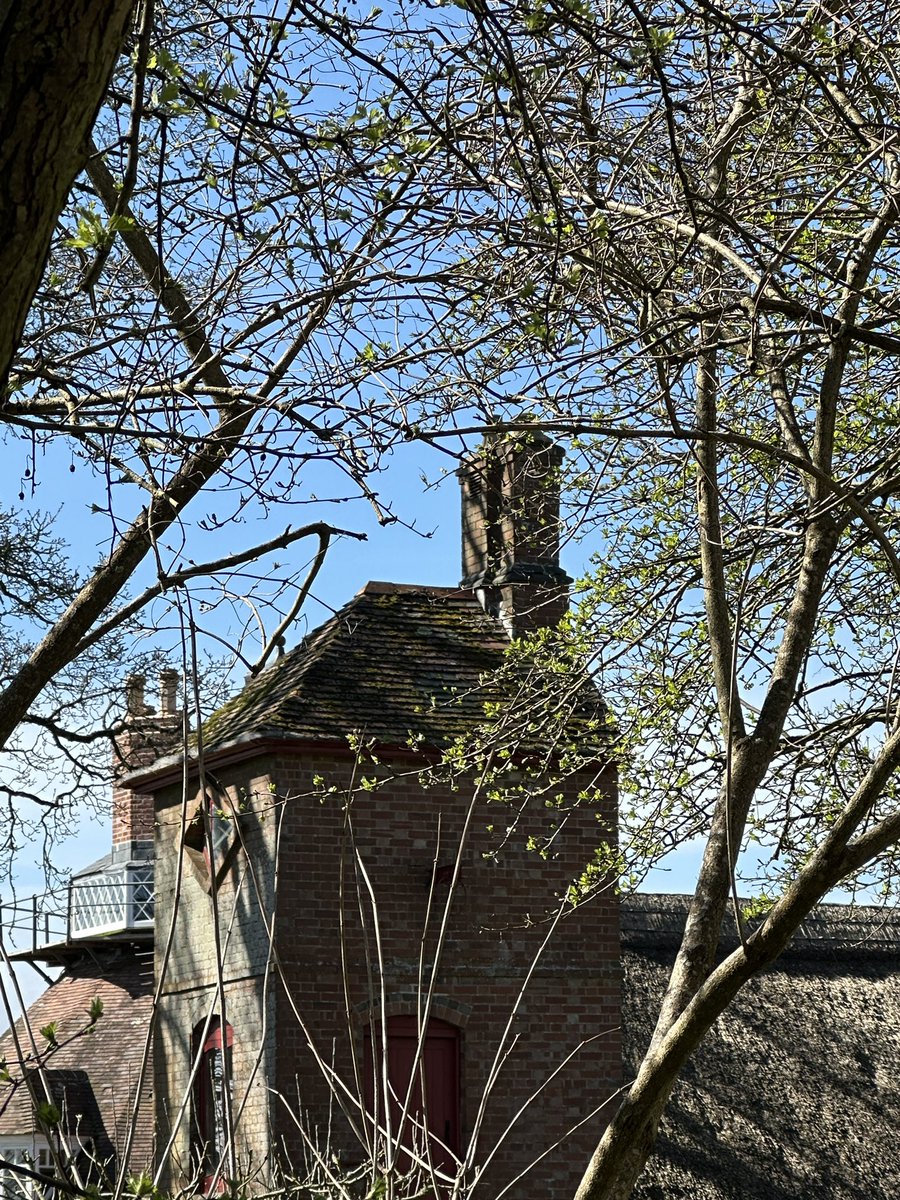 Rosemary Griggs tweet media