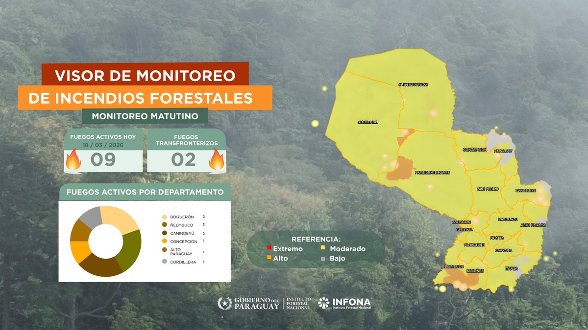 Instituto Forestal Nacional del Paraguay tweet media