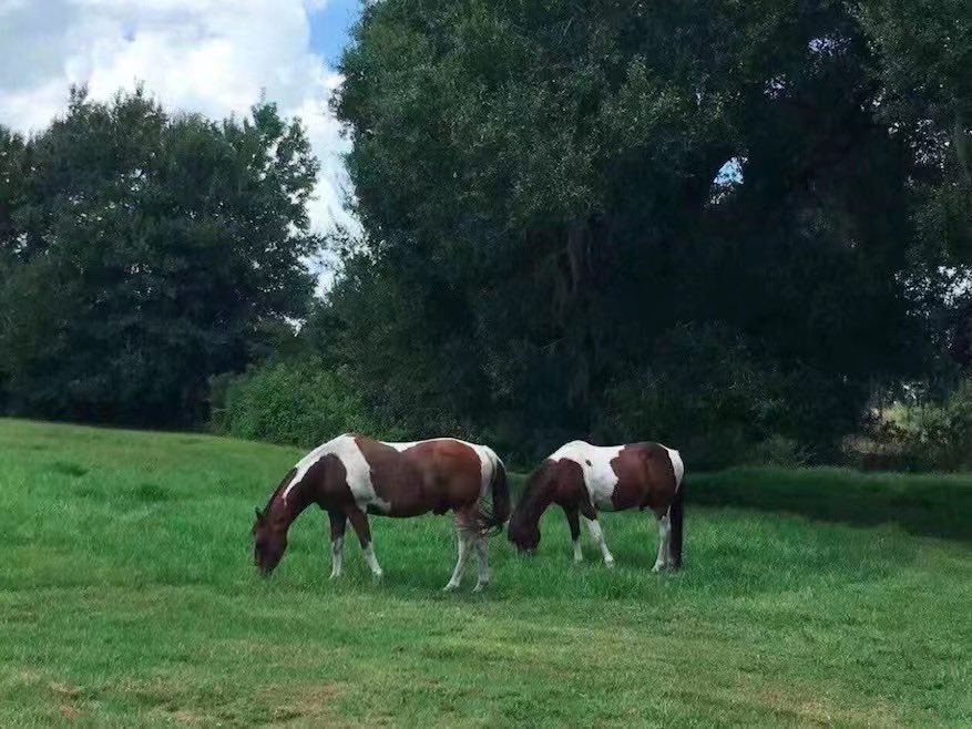 Frank Lin tweet media