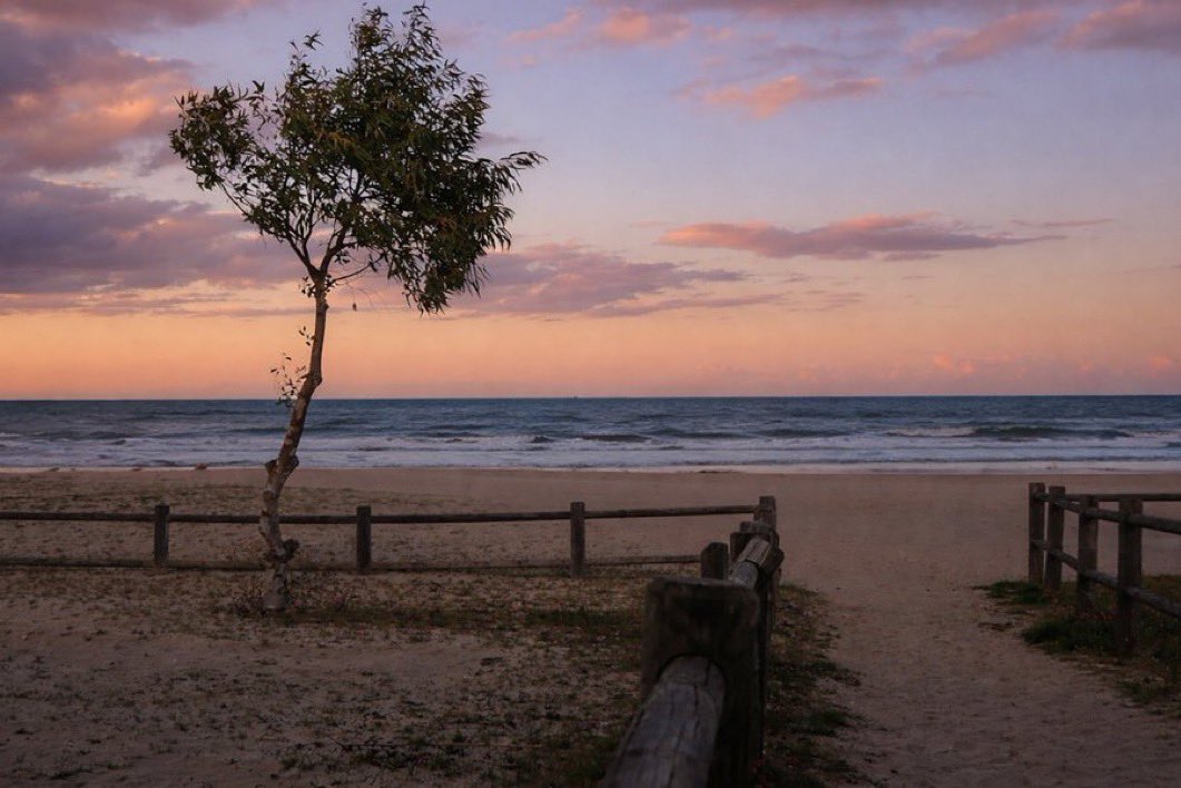 Magnifica Lounge 🫐 tweet media