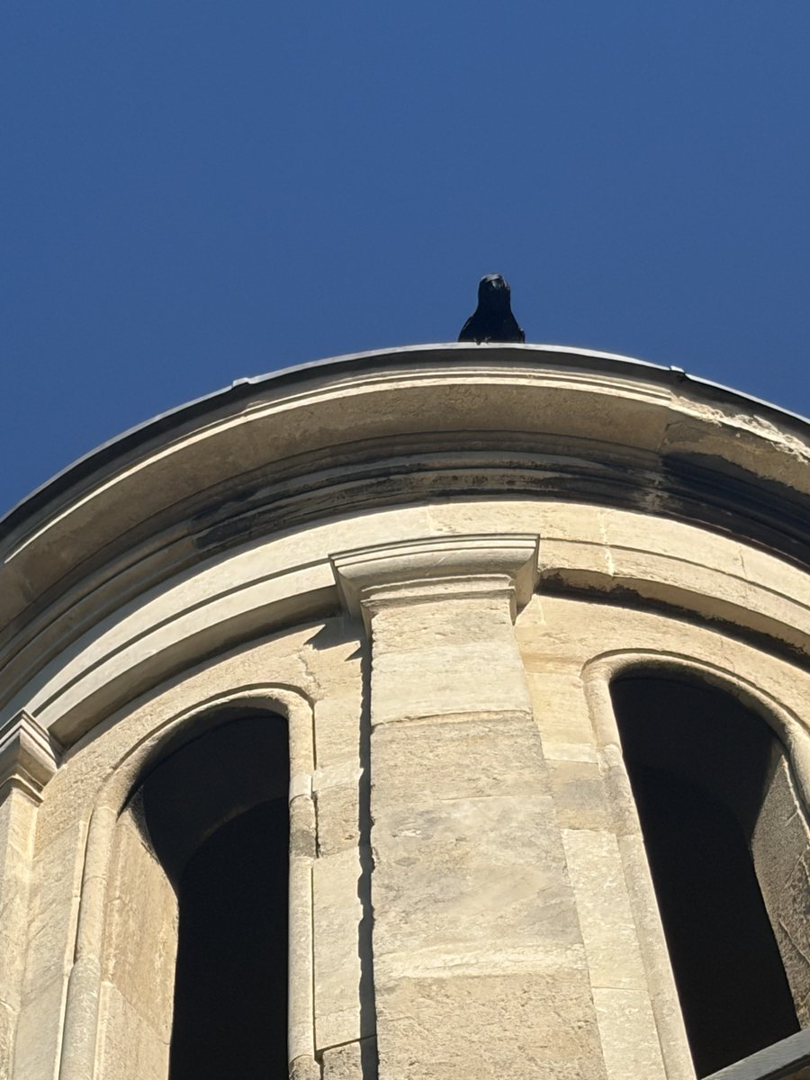 BromptonBunch's tweet image. The lookout was in place #Crows