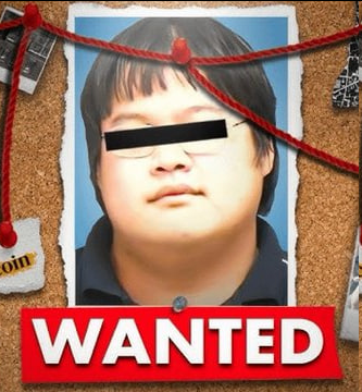 Bitcoin Teddy tweet media