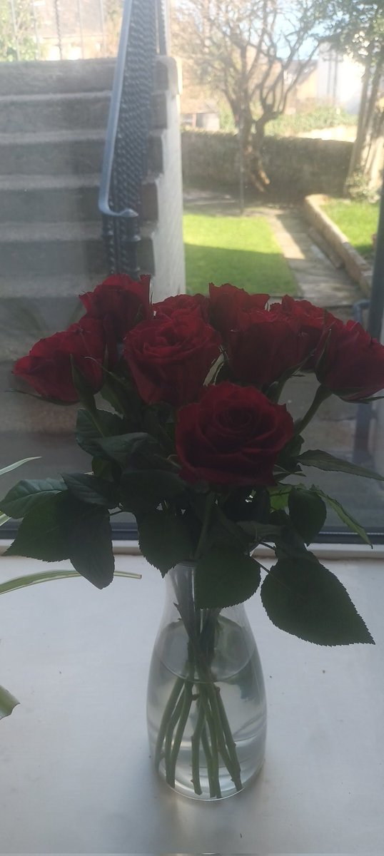 Franny Reilly tweet media