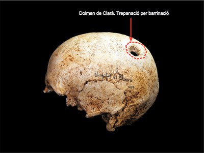 SOLSONA FM tweet media