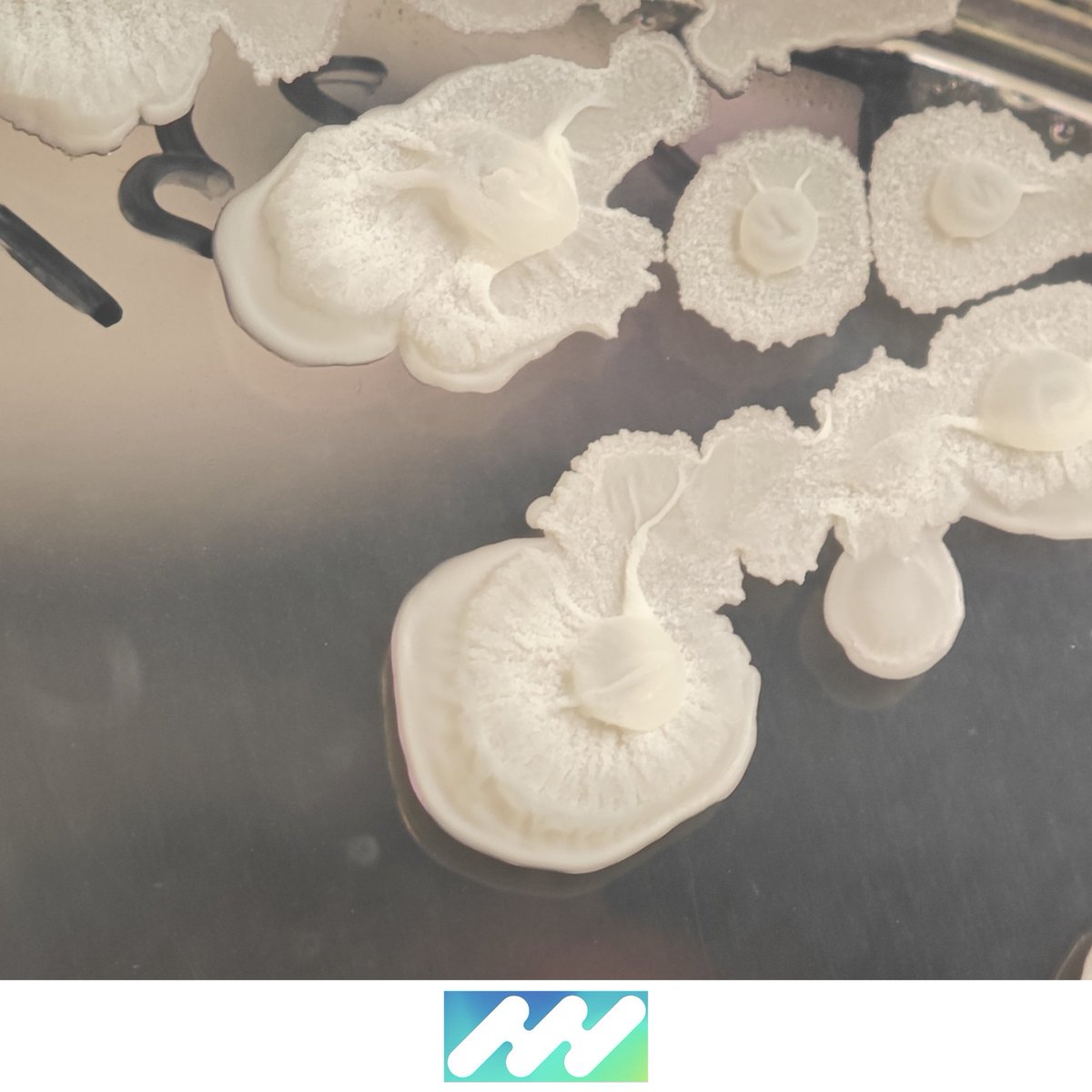 iPlantMicro Lab tweet media