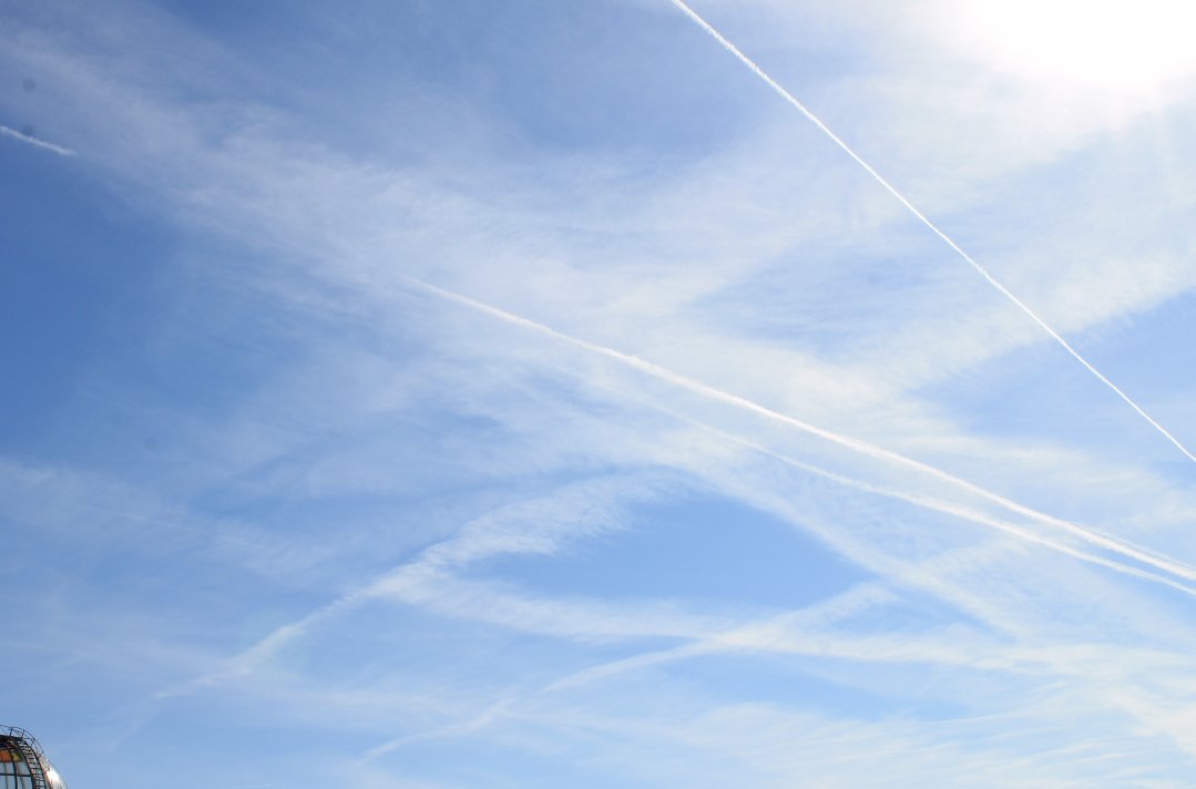 Ray Brok tweet media