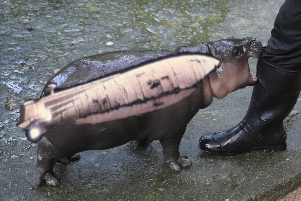 Star Wars Memes tweet media