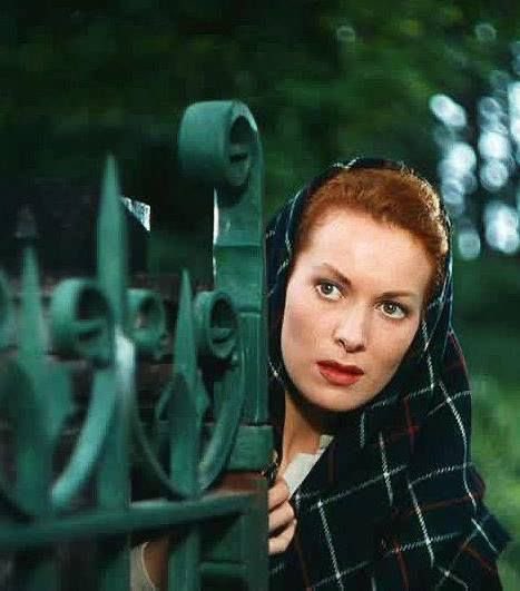 𝙵𝙾𝚁𝙳𝙸𝙰𝙽𝙾𝚂 tweet media